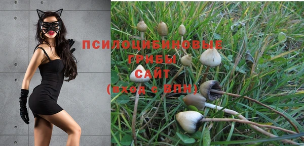 спиды Белокуриха