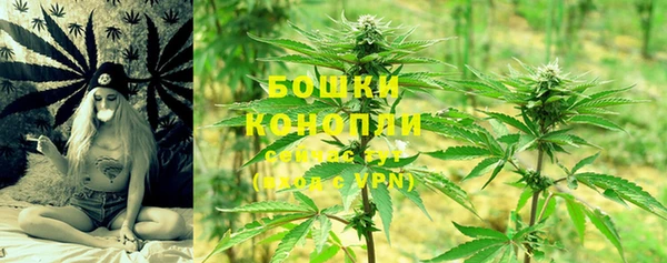 спиды Белокуриха