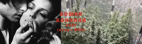 молекула духа Алапаевск