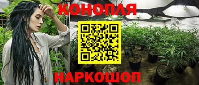 гидропоника Бузулук