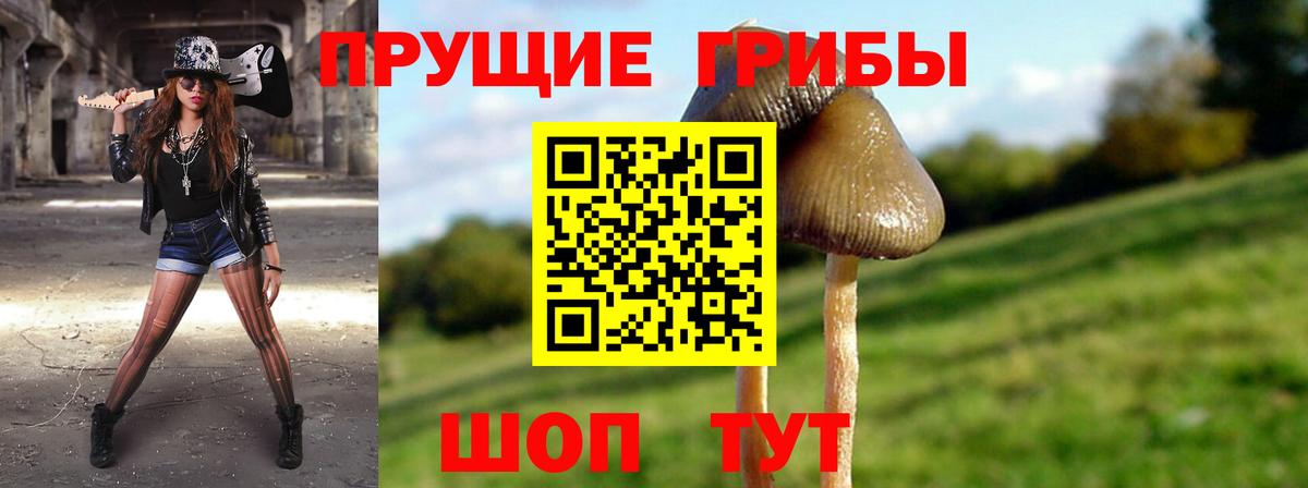 Джанкой  Псилоцибиновые грибы Psilocybe  Вход с VPN 