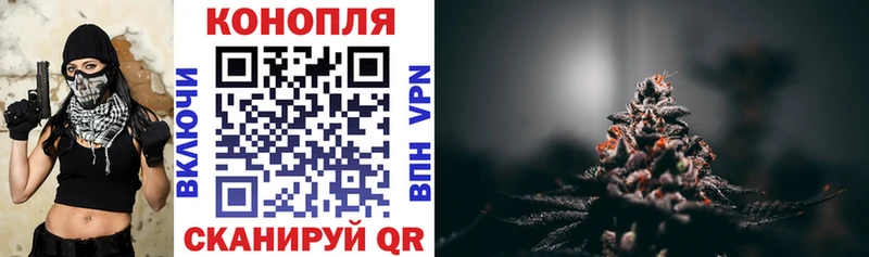 закладка Джанкой Каннабис индика
